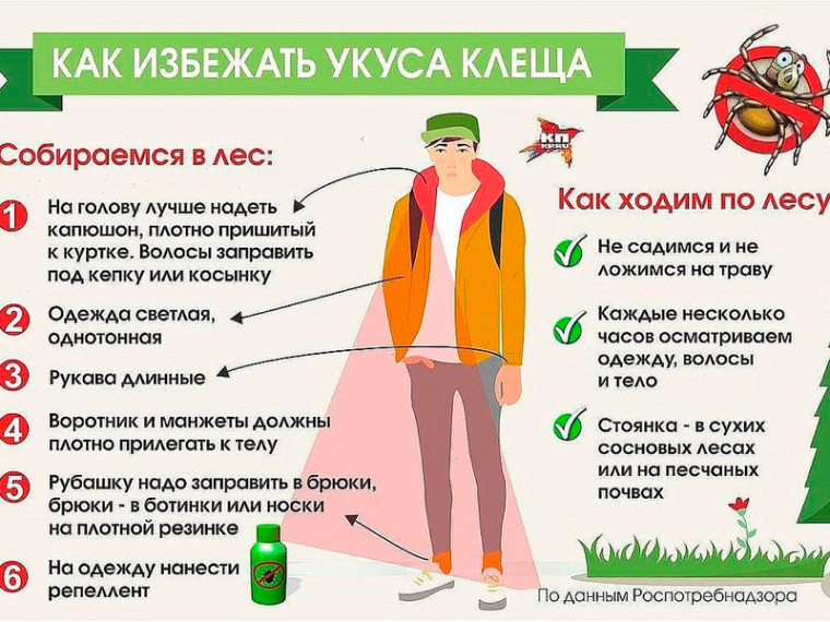 О профилактике клещевого энцефалита и других инфекций, передающихся клещами.