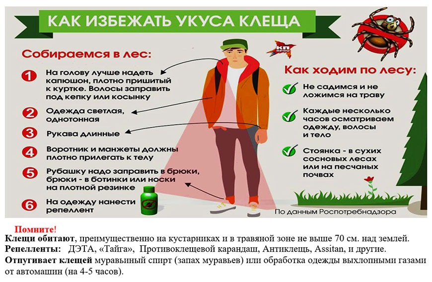 Изображения.