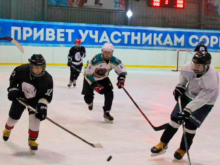 Территория спорта. Территория спорта.