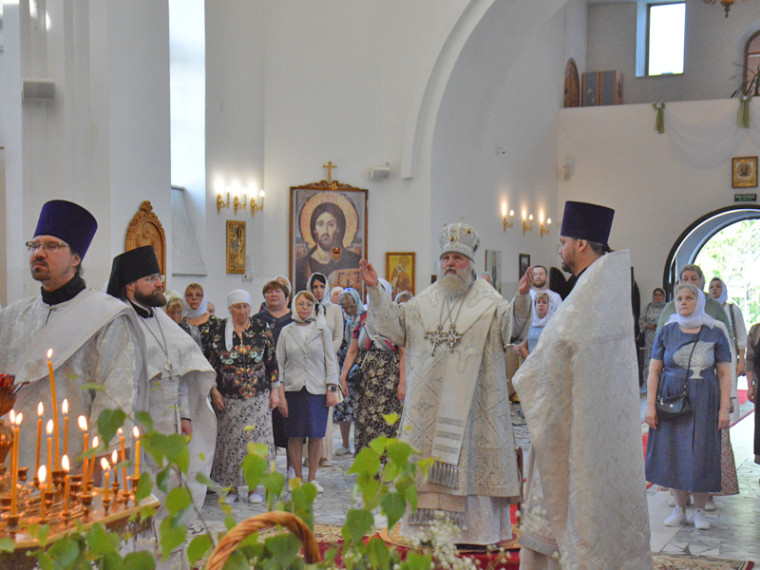 Визит митрополита. Визит митрополита.